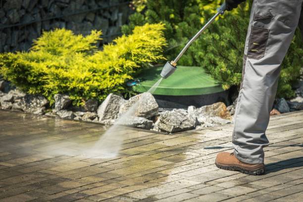 Best Pool Deck Cleaning  in Monrovia, IN